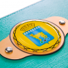 Чемпионский пояс