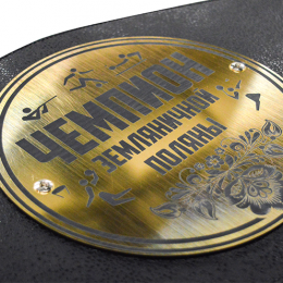 Чемпионский пояс