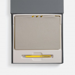 Набор Flexpen Grey, желтый