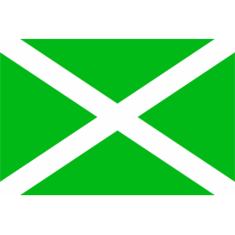 Флаг таможенных органов Российской Федерации (ФТС России)