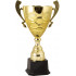 Кубок 2010C (49 см) D-200