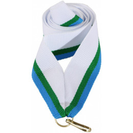 Лента (шир.22 мм) V2-W/GN/LBL Кировская область