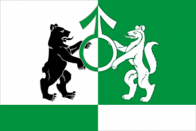Флаг городского округа Ревда